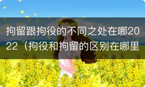 拘留跟拘役的不同之处在哪2022（拘役和拘留的区别在哪里）