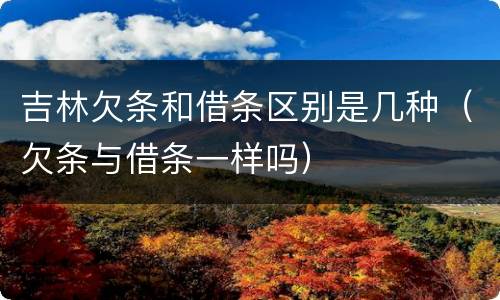 吉林欠条和借条区别是几种（欠条与借条一样吗）