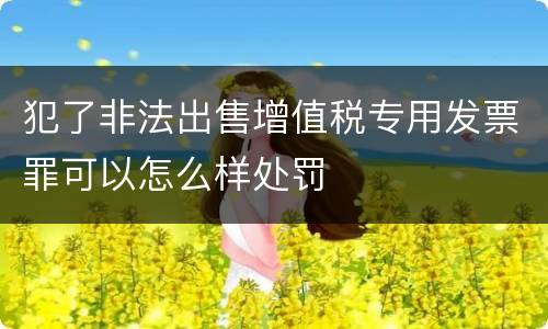 犯了非法出售增值税专用发票罪可以怎么样处罚
