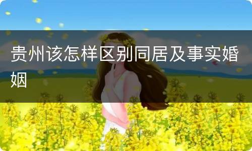 贵州该怎样区别同居及事实婚姻