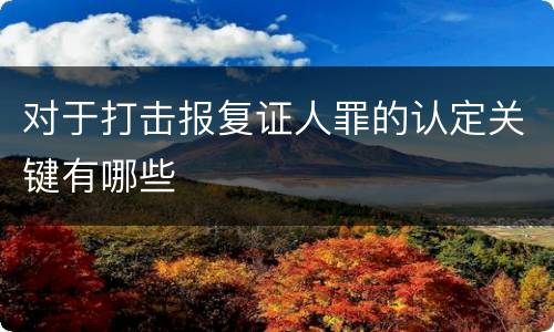 对于打击报复证人罪的认定关键有哪些