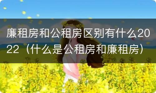 廉租房和公租房区别有什么2022（什么是公租房和廉租房）