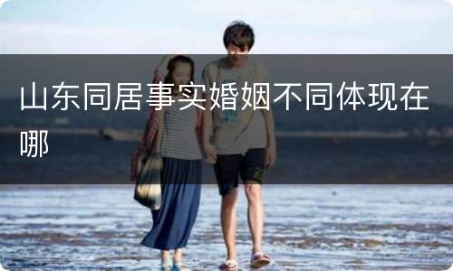 山东同居事实婚姻不同体现在哪