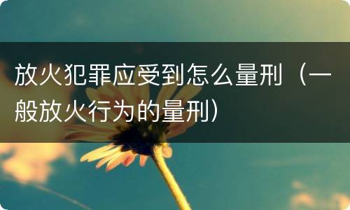 放火犯罪应受到怎么量刑（一般放火行为的量刑）