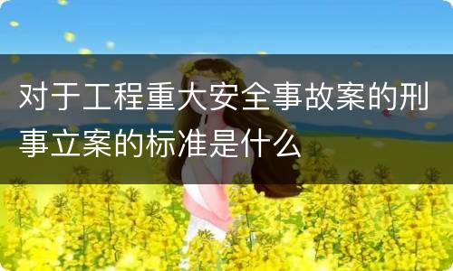对于工程重大安全事故案的刑事立案的标准是什么