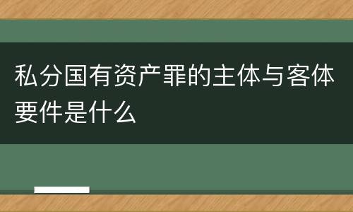 私分国有资产罪的主体与客体要件是什么