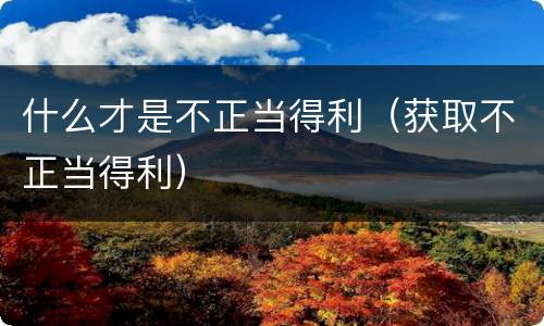 什么才是不正当得利（获取不正当得利）