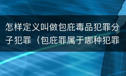 怎样定义叫做包庇毒品犯罪分子犯罪（包庇罪属于哪种犯罪类型）