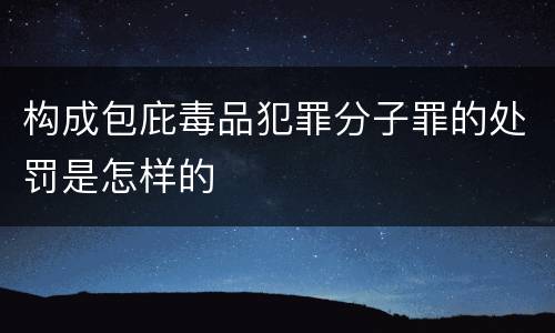 构成包庇毒品犯罪分子罪的处罚是怎样的