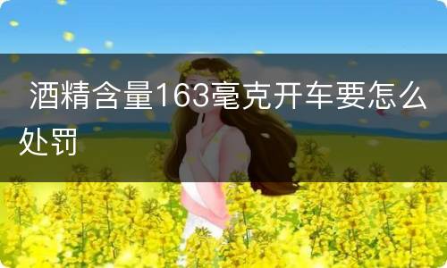  酒精含量163毫克开车要怎么处罚