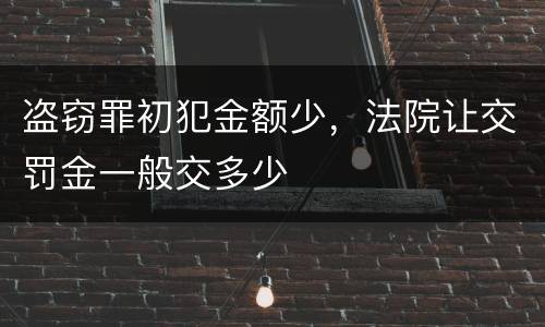 盗窃罪初犯金额少，法院让交罚金一般交多少