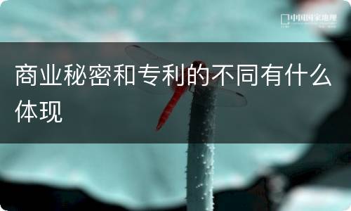 商业秘密和专利的不同有什么体现
