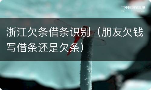 浙江欠条借条识别（朋友欠钱写借条还是欠条）