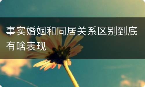 事实婚姻和同居关系区别到底有啥表现
