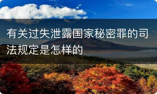有关过失泄露国家秘密罪的司法规定是怎样的