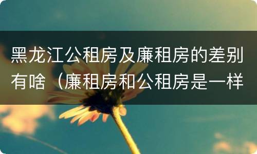 黑龙江公租房及廉租房的差别有啥（廉租房和公租房是一样的吗）