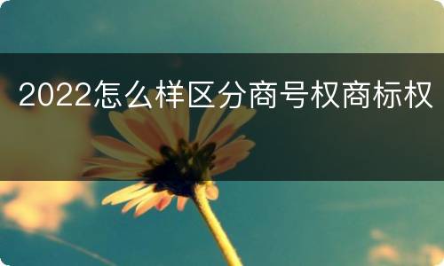 2022怎么样区分商号权商标权