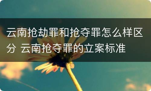 云南抢劫罪和抢夺罪怎么样区分 云南抢夺罪的立案标准