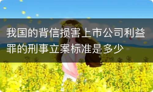 我国的背信损害上市公司利益罪的刑事立案标准是多少
