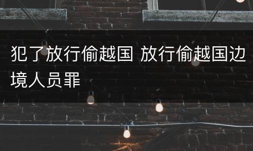 犯了放行偷越国 放行偷越国边境人员罪
