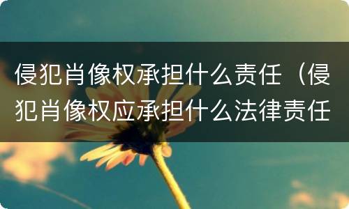 侵犯肖像权承担什么责任（侵犯肖像权应承担什么法律责任）