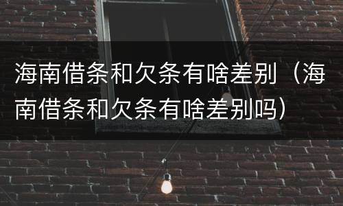 海南借条和欠条有啥差别（海南借条和欠条有啥差别吗）