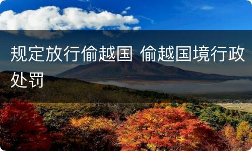 规定放行偷越国 偷越国境行政处罚