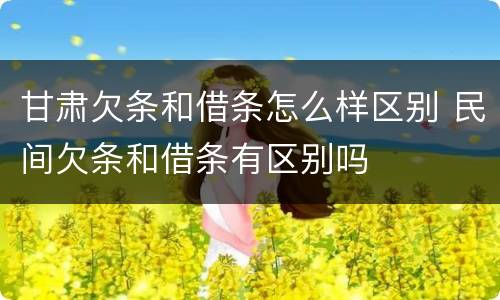 甘肃欠条和借条怎么样区别 民间欠条和借条有区别吗