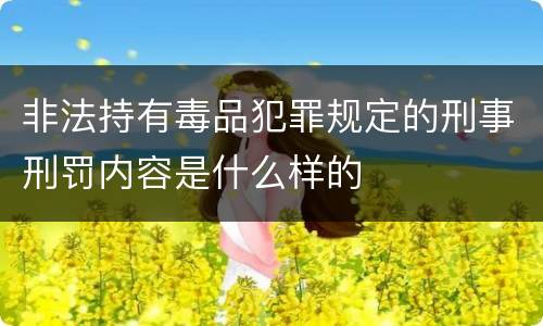 非法持有毒品犯罪规定的刑事刑罚内容是什么样的