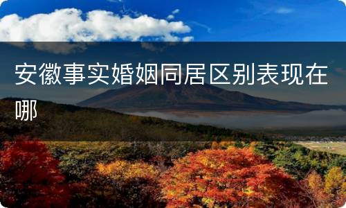 安徽事实婚姻同居区别表现在哪