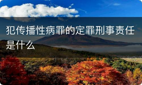犯传播性病罪的定罪刑事责任是什么