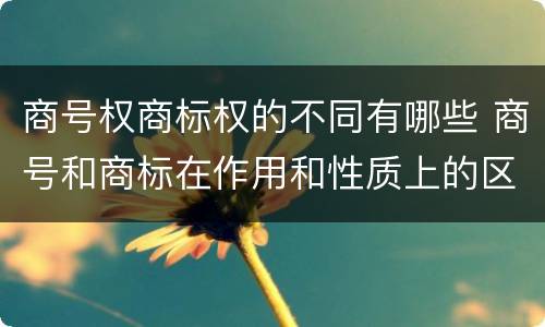 商号权商标权的不同有哪些 商号和商标在作用和性质上的区别