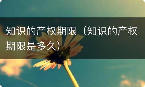 知识的产权期限（知识的产权期限是多久）
