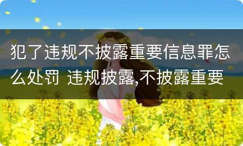 犯了违规不披露重要信息罪怎么处罚 违规披露,不披露重要信息罪的罚金