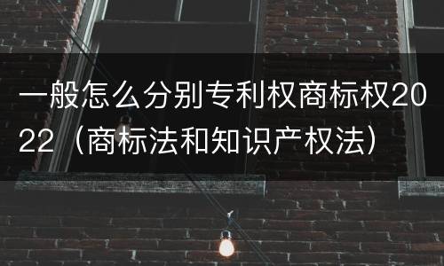 一般怎么分别专利权商标权2022（商标法和知识产权法）