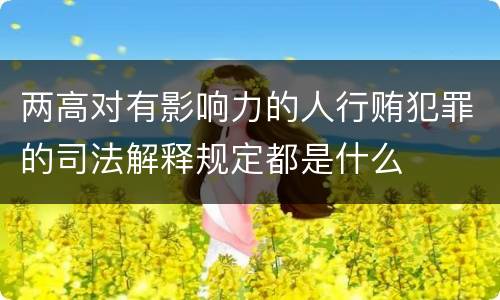 两高对有影响力的人行贿犯罪的司法解释规定都是什么