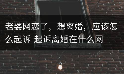 老婆网恋了，想离婚，应该怎么起诉 起诉离婚在什么网