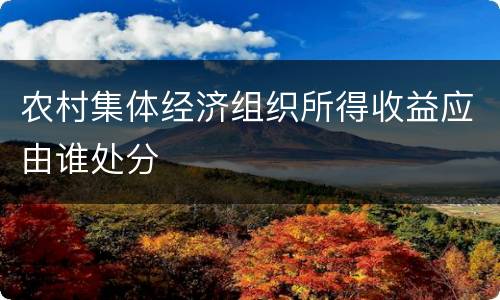 农村集体经济组织所得收益应由谁处分