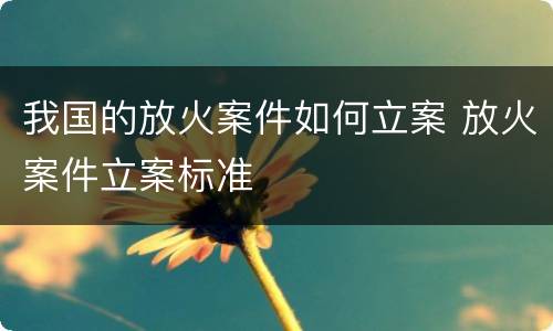 我国的放火案件如何立案 放火案件立案标准