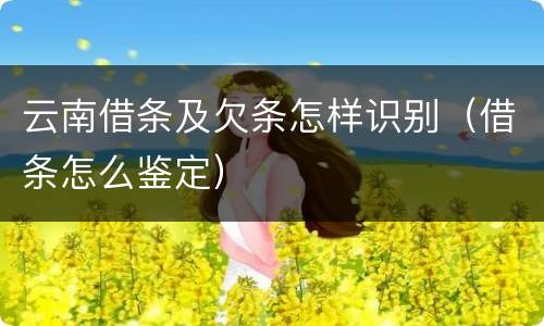 云南借条及欠条怎样识别（借条怎么鉴定）