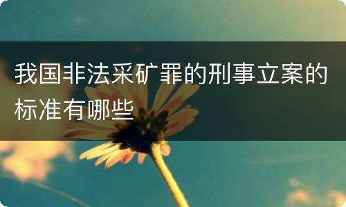 我国非法采矿罪的刑事立案的标准有哪些