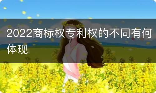 2022商标权专利权的不同有何体现