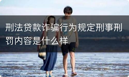 刑法贷款诈骗行为规定刑事刑罚内容是什么样