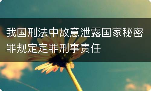 我国刑法中故意泄露国家秘密罪规定定罪刑事责任