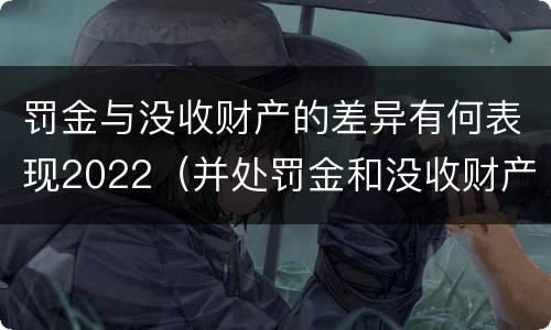 罚金与没收财产的差异有何表现2022（并处罚金和没收财产是什么意思）