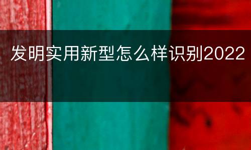 发明实用新型怎么样识别2022