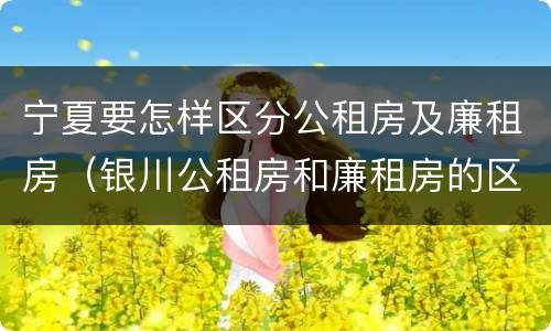 宁夏要怎样区分公租房及廉租房（银川公租房和廉租房的区别）