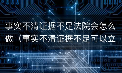 事实不清证据不足法院会怎么做（事实不清证据不足可以立案吗）