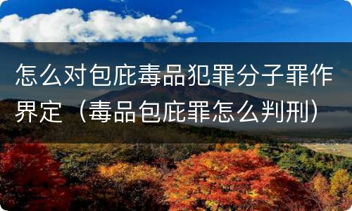 怎么对包庇毒品犯罪分子罪作界定（毒品包庇罪怎么判刑）