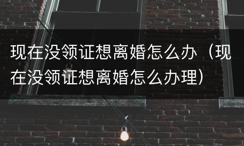 现在没领证想离婚怎么办（现在没领证想离婚怎么办理）